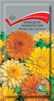 Календула низкорослая Пигми смесь окрасок (ЦП) 0,3