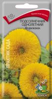 Подсолнечник однолетний Медвежонок (ЦП) 0,5