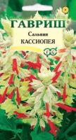 Сальвия Кассиопея*, карликовая  5 шт.