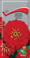 Цинния изящная Чери квин (ЦП) 0,4