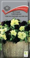 Фото Петуния гибридная Софистика Блекберри энд лайм грин(ЦВ) ("1) 5шт