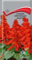 Сальвия сверкающая Дварф ред (ЦП) 0,1
