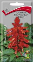 Сальвия сверкающая Скарлет (ЦП) 0,3