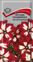Фото Петуния грандифлора Кан кан вишневая (ЦП) 10
