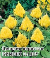 Целозия Кимоно Еллоу перистая 250 шт.* сер. Профи  Н14 Профессиональная упаковка