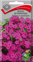 Флокс друммонда Красотка в малиновом (ЦП) 0,1
