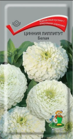 Цинния лиллипут Белая (ЦП) 0,4