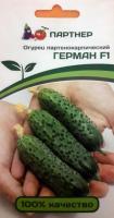 Огурец Герман F1