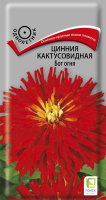 Цинния кактусовидная Бог огня (ЦП) 0,4