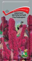 Амарант метельчатый Ред Кафедрал (ЦП) 0,1
