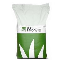 Газон Саншайн (Sunshine, DLF Trifolium)