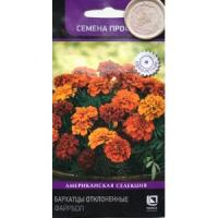 Бархатцы (Тагетес) отклоненные Файрбол (Семена Профи) (ЦВ) ("1) 10шт