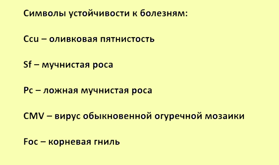 Огурец Чистые пруды Манул Ц фото в интернет-магазине "Сортовые семена"