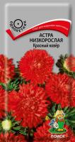 Астра низкорослая Красный ковер (ЦП) 0,2