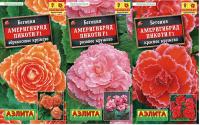 Бегония Америгибрид Пикоти F1 PanAmerican Seed, Набор_1 (3 уп-ки) , АЭ