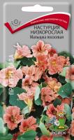 Настурция низкорослая Малышка лососевая (ЦП) 1