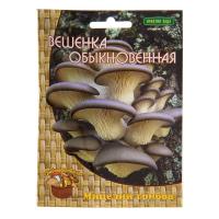 Вешенка обыкновенная (12шт)