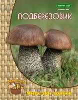 Подберёзовик (60мл) (поиск)