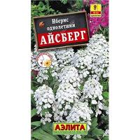 Иберис однолетний Айсберг Аэлита Ц