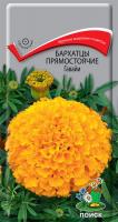 Бархатцы прямостоячие Гавайи (ЦП) 0,4