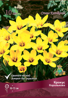 Крокус Королькова