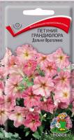 Фото Петуния грандифлора Дольче Фраголино (ЦП) 10