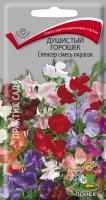 Душистый горошек Спенсер смесь окрасок (ЦП) 2