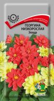 Георгина низкорослая Эллада (ЦВ) ("1) 0,2гр