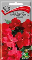 Бальзамин махровый Афина Артемида (ЦП) 5