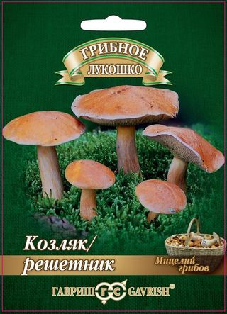Козляк Решетник на зерновом субстрате, 15 мл фото в интернет-магазине "Сортовые семена" Козляк Решетник на зерновом субстрате, 15 мл фото в интернет-магазине "Сортовые семена"