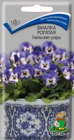 Фиалка рогатая Гжельские узоры (ЦП) 10