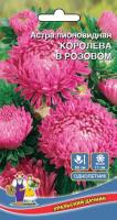 Цветы Астра пионовидная Королева в Розовом