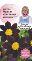 Георгина Черная красавица 5 шт
