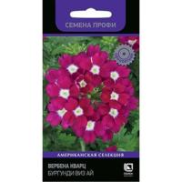 Фото Вербена Кварц Ред виз Ай (Семена Профи) (ЦВ) ("1) 10шт