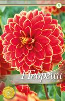 Георгина декоративная Максим I/К