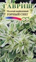 Молочай окаймленный Горный снег 0,5 г Молочай окаймленный Горный снег 0,5 г