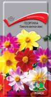 Георгина Пикколо мигнон микс (ЦП) 0,3