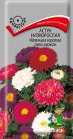 Астра низкорослая Маленькая королева смесь окрасок (ЦП) 0,1