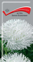 Астра Белое безмолвие (ЦП) 0,3