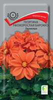 Фото Георгина низкорослая Барокко Оранжевая (ЦП) 0,1