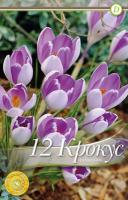 Фото Крокус Вангуард