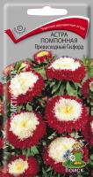 Астра помпонная Превосходный Гасфорд (ЦП) 0,3