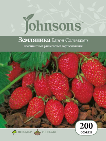 Земляника ремонтантная Барон Солемахер фото в интернет-магазине "Сортовые семена"
