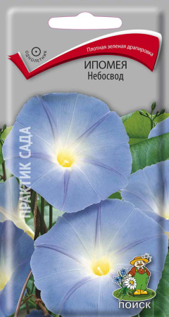 Ипомея Небосвод (ЦП) 0,9 фото в интернет-магазине "Сортовые семена"