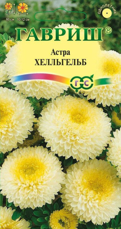 Астра Хелльгельб 0,3 г, помпонная св-желтая фото в интернет-магазине "Сортовые семена"