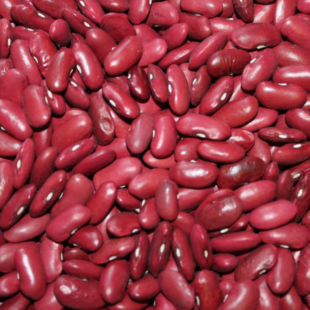 Фасоль зерновая Canadian wounder (10 шт) фото в интернет-магазине "Сортовые семена"
