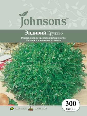 Эндивий Кружево фото в интернет-магазине "Сортовые семена"