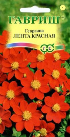 Георгина Лента красная 0,2 г фото в интернет-магазине "Сортовые семена"
