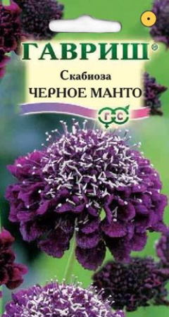 Скабиоза пурпурная Чёрное манто, махр. 0,2 г серия Блэк фото в интернет-магазине "Сортовые семена"