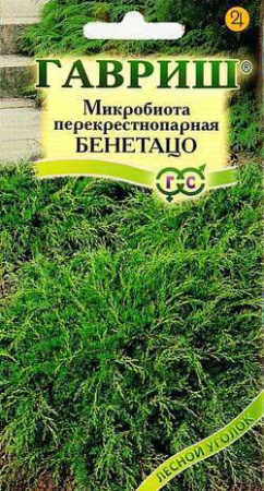 Микробиота перекрестнопарная Бенетацо* 0,05 г фото в интернет-магазине "Сортовые семена"